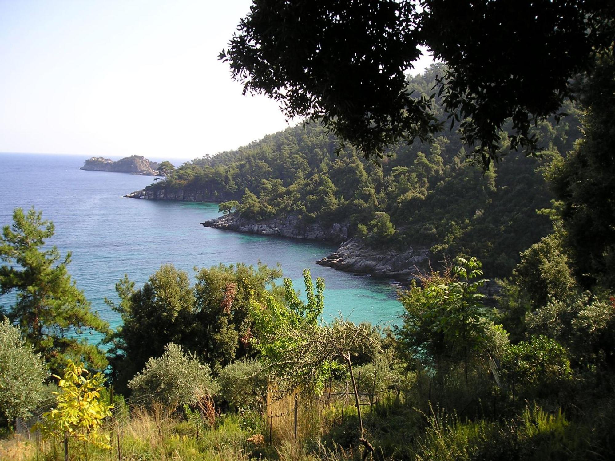 Golden Beach Inn Chrysi Ammoudia Exteriér fotografie