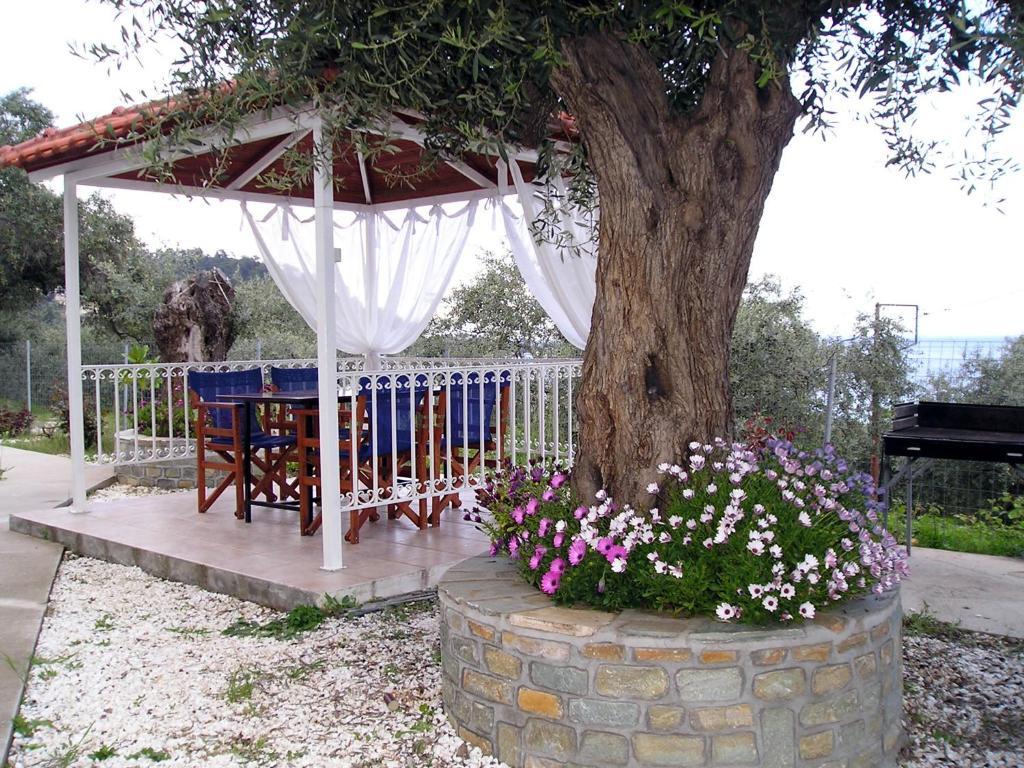 Golden Beach Inn Chrysi Ammoudia Pokoj fotografie